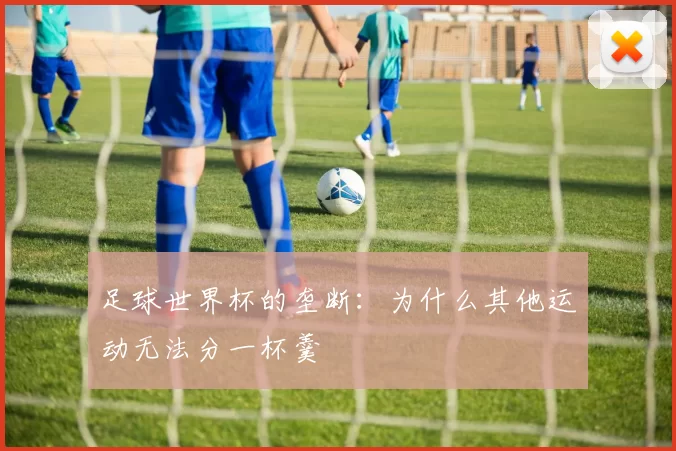 足球世界杯的垄断：为什么其他运动无法分一杯羹