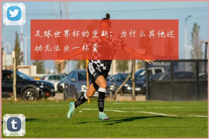 足球世界杯的垄断：为什么其他运动无法分一杯羹