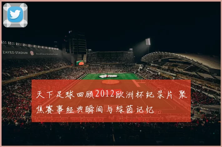 天下足球回顾2012欧洲杯纪录片 聚焦赛事经典瞬间与绿茵记忆