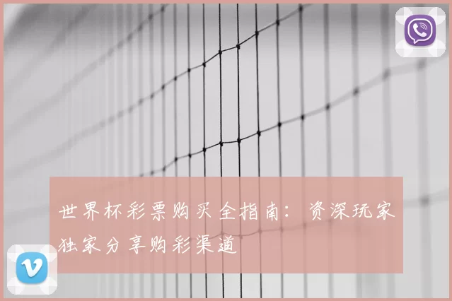 世界杯彩票购买全指南：资深玩家独家分享购彩渠道