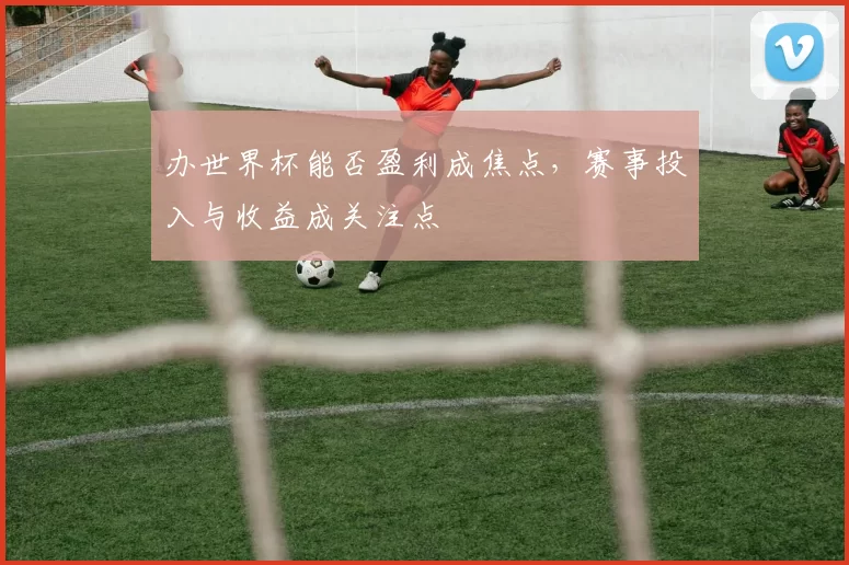 办世界杯能否盈利成焦点，赛事投入与收益成关注点