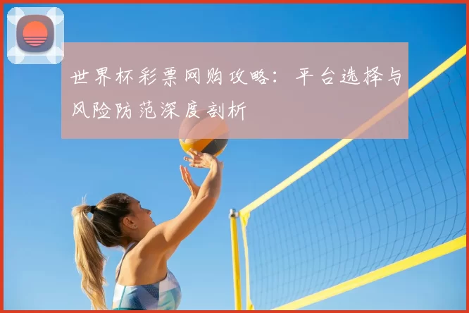 世界杯彩票网购攻略：平台选择与风险防范深度剖析