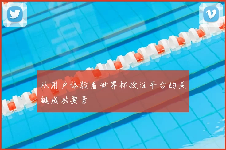 从用户体验看世界杯投注平台的关键成功要素