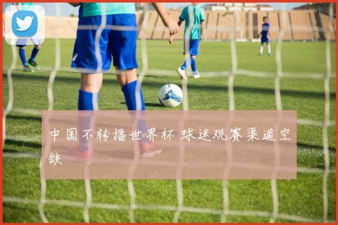 中国不转播世界杯 球迷观赛渠道空缺