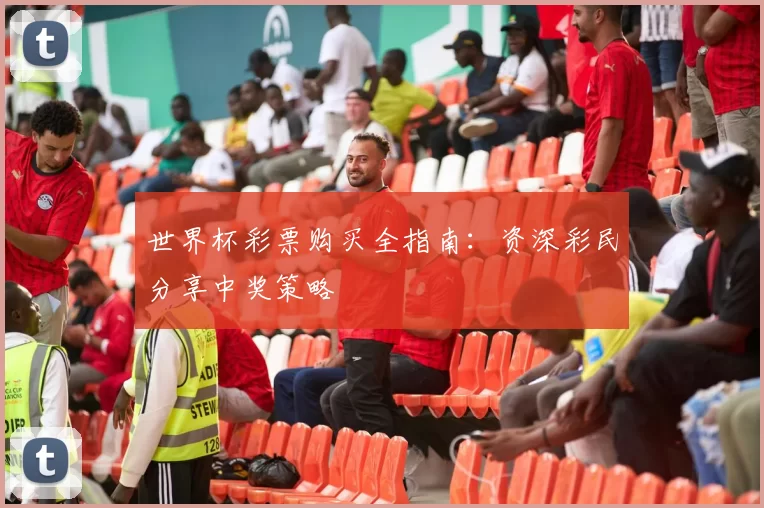 世界杯彩票购买全指南：资深彩民分享中奖策略