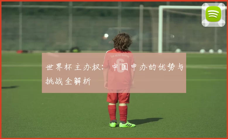 世界杯主办权：中国申办的优势与挑战全解析