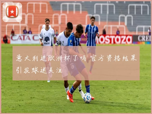 意大利进欧洲杯了吗 官方资格结果引发球迷关注