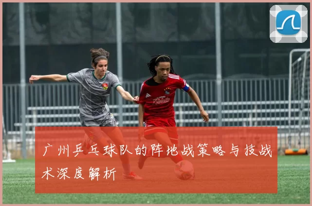 广州乒乓球队的阵地战策略与技战术深度解析