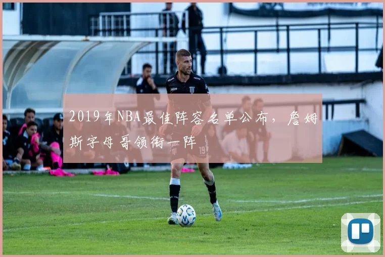 2019年NBA最佳阵容名单公布，詹姆斯字母哥领衔一阵